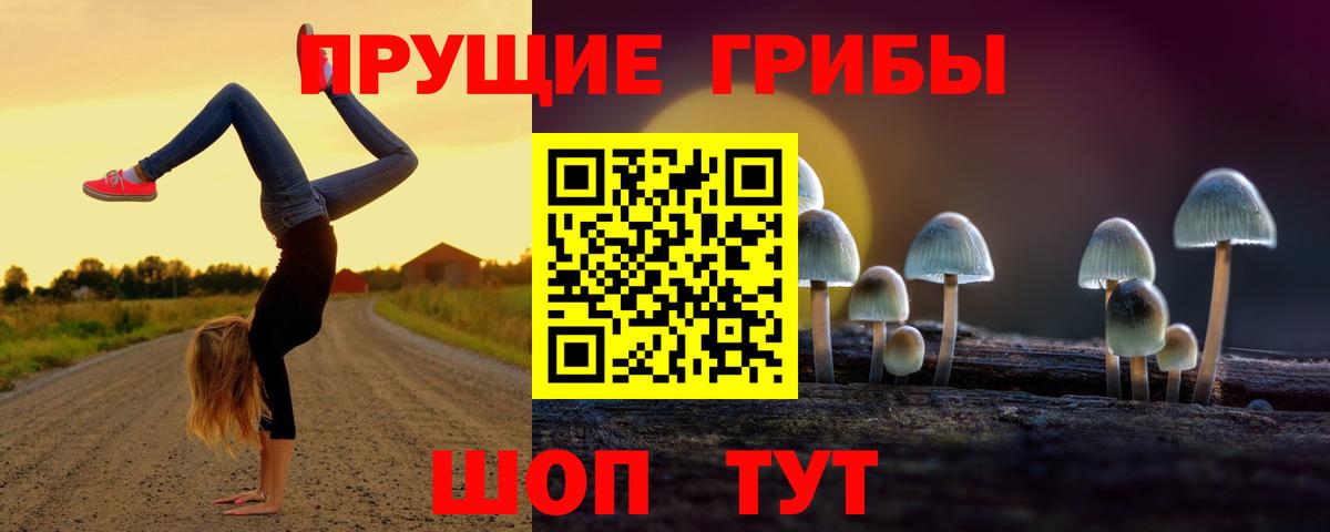 Псилоцибиновые грибы мухоморы Пушкино