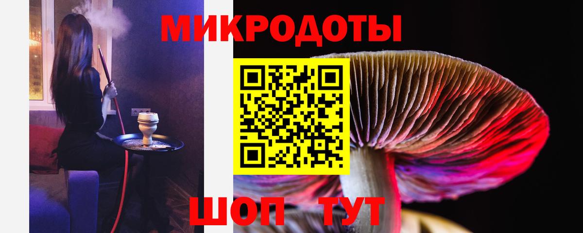 ГАШ Пушкино